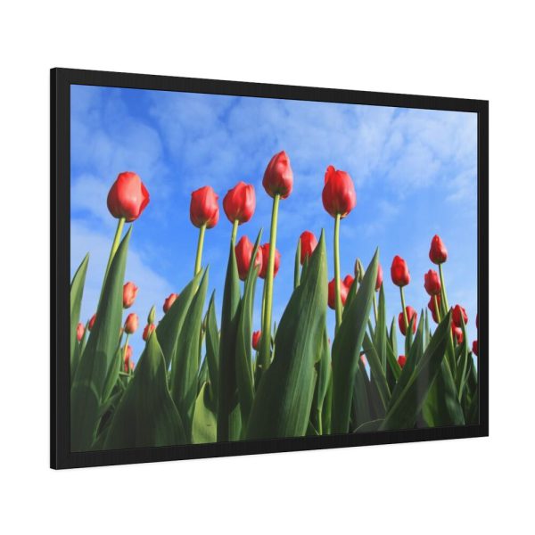93855-265.jpg Red Tulip Framed Poster