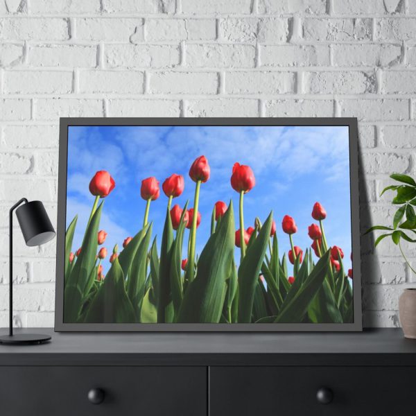 93855-267.jpg Red Tulip Framed Poster