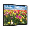 Tulips Beautiful Framed Poster
