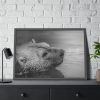 93855-283.jpg Polar Bear Black and White Framed Poster