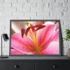 93855-291.jpg Colorful Pink Framed Poster