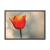 93855-292.jpg Sunny Framed Poster
