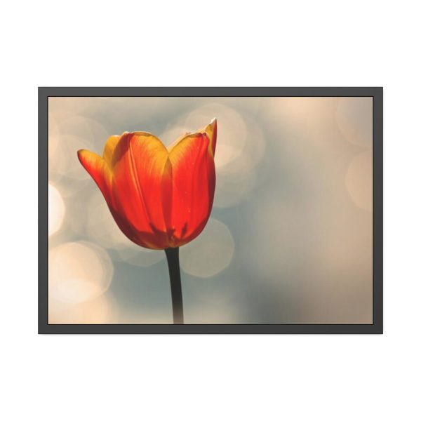 93855-292.jpg Sunny Framed Poster