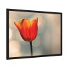 93855-293.jpg Sunny Framed Poster