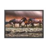 93855-300.jpg Australian Horses Framed Poster