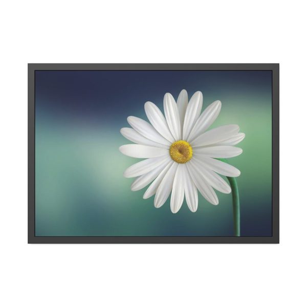 93855-336.jpg Lonely Daisy Framed Poster