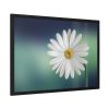93855-337.jpg Lonely Daisy Framed Poster