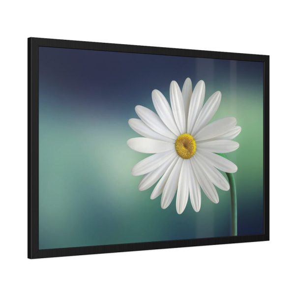 93855-337.jpg Lonely Daisy Framed Poster