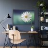 93855-338.jpg Lonely Daisy Framed Poster