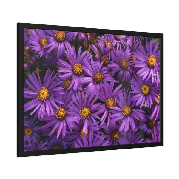 93855-345.jpg Purple Daisy Framed Poster