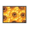 93855-364.jpg Yellow Daisies Framed Poster
