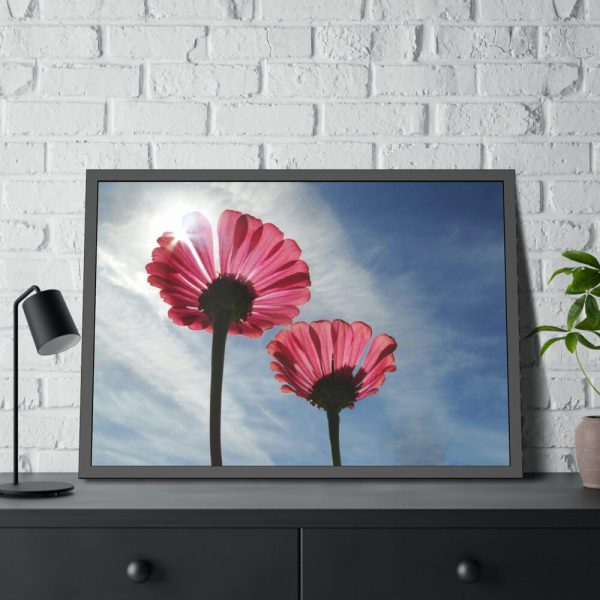 93855-371.jpg Pink Daisy with Blue Sky Framed Poster