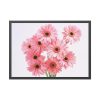 93855-372.jpg Pink Gerbera Daisies Framed Poster
