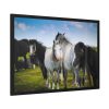 93855-381.jpg A Herd of Grey and White Horses Framed Poster