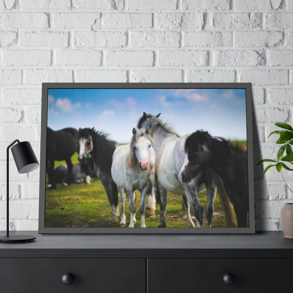 93855-383.jpg A Herd of Grey and White Horses Framed Poster