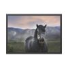 Gray Horse Framed Poster