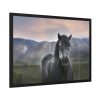 Gray Horse Framed Poster