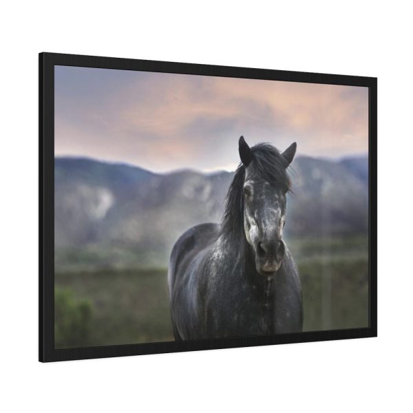Gray Horse Framed Poster