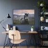 Gray Horse Framed Poster