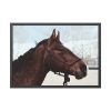 93855-388.jpg The Side of the Head of a Brown Horse Framed Poster