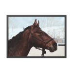 The Side of the Head of a Brown Horse Framed Poster - Image 5