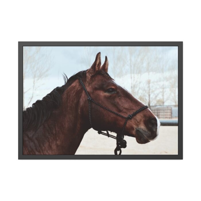 The Side of the Head of a Brown Horse Framed Poster - Image 5