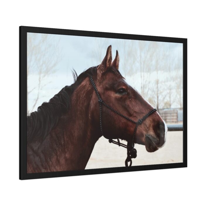 The Side of the Head of a Brown Horse Framed Poster - Image 6