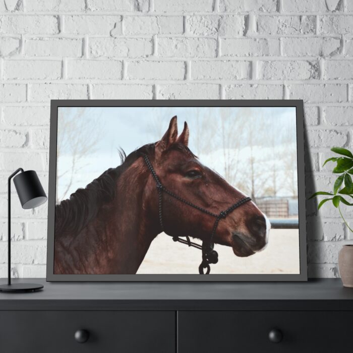 The Side of the Head of a Brown Horse Framed Poster - Image 8