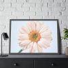 93855-395.jpg Closeup Daisy Framed Poster