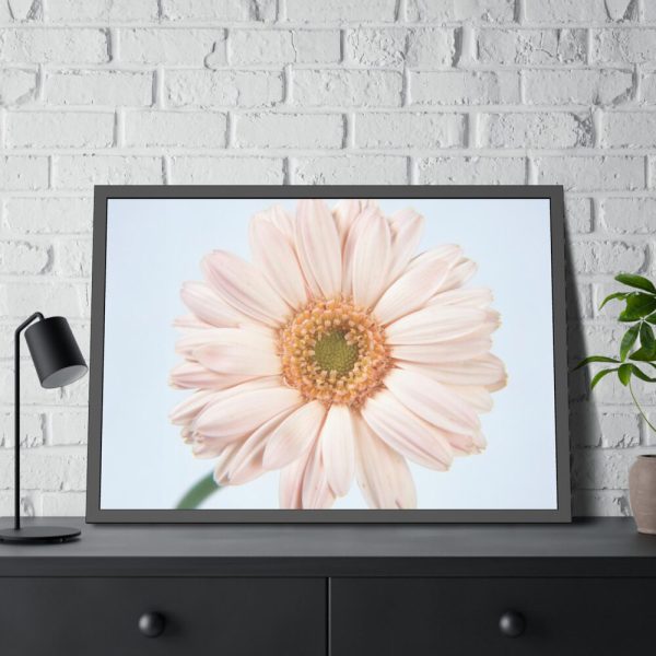 93855-395.jpg Closeup Daisy Framed Poster