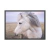 93855-396.jpg A Close-up of a Gray Horse Framed Poster