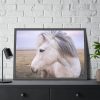 93855-399.jpg A Close-up of a Gray Horse Framed Poster