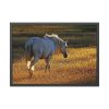 93855-400.jpg White Horses Framed Poster
