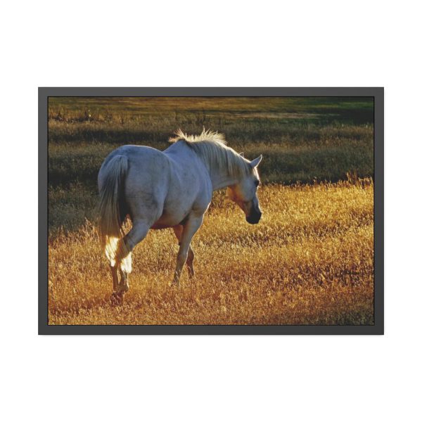 93855-400.jpg White Horses Framed Poster