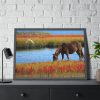 93855-407.jpg Horse Savanna Framed Poster