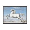 White horse Painting by Joris Hoefnagel Framed Poster