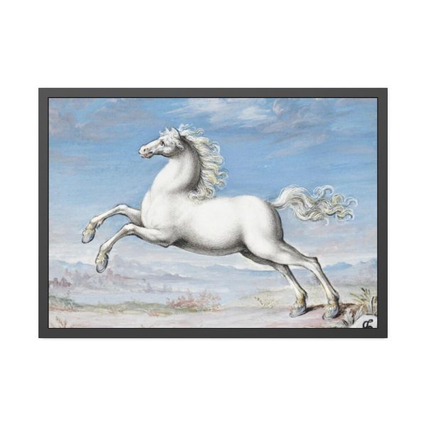 White horse Painting by Joris Hoefnagel Framed Poster