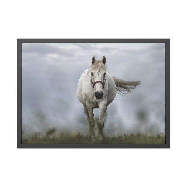 93855-416.jpg White Horse Galloping Framed Poster