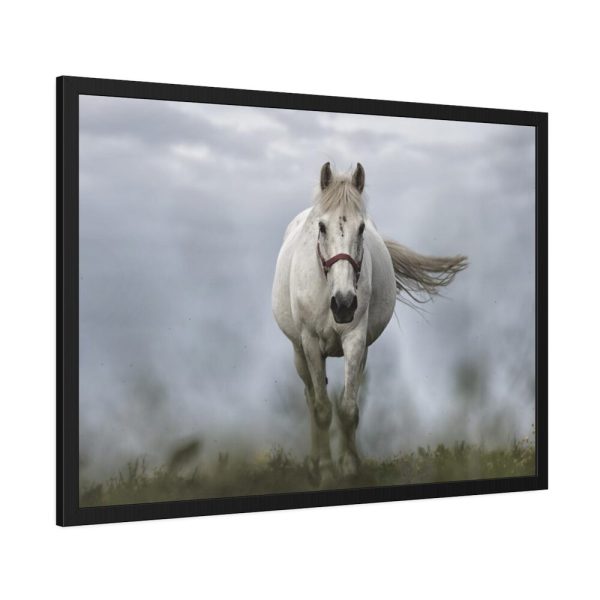 93855-417.jpg White Horse Galloping Framed Poster