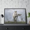 93855-419.jpg White Horse Galloping Framed Poster