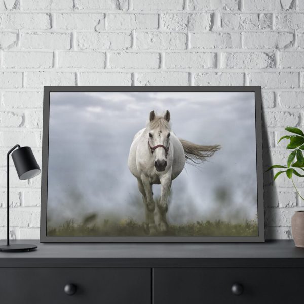 93855-419.jpg White Horse Galloping Framed Poster