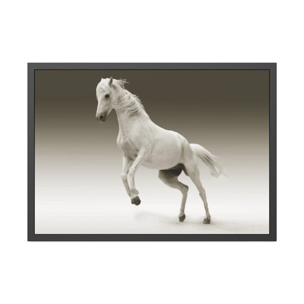 93855-420.jpg White Horse Framed Poster