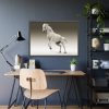 93855-422.jpg White Horse Framed Poster