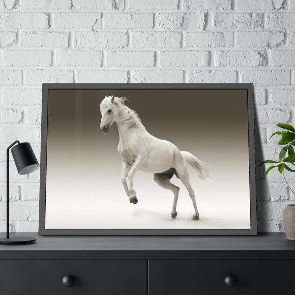 93855-423.jpg White Horse Framed Poster