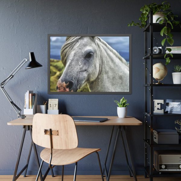 93855-426.jpg Closeup Shot of a White Horse Framed Poster