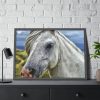 93855-427.jpg Closeup Shot of a White Horse Framed Poster