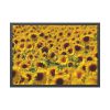 93855-44.jpg Sunflower Farm Framed Poster