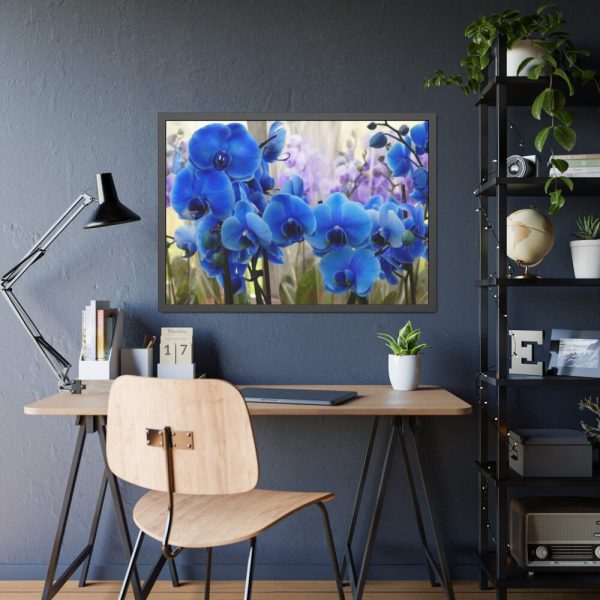 Blue Orchids Framed Poster