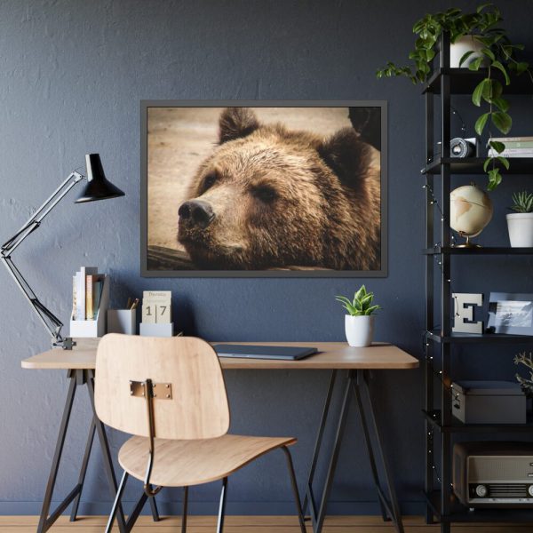 93855-486.jpg Brown Bear Snout Framed Poster