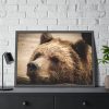 93855-487.jpg Brown Bear Snout Framed Poster